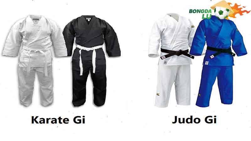 Chia cấp bậc trong môn võ Judo