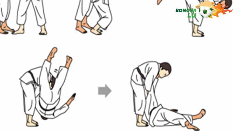 Đạo trường của môn võ Judo