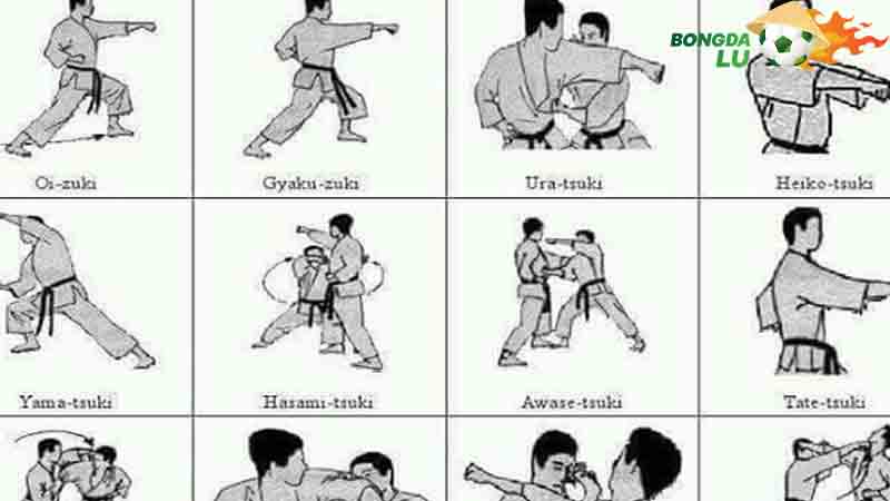 Phương pháp tập luyện của môn võ karate