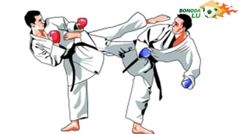 Tìm hiểu lịch sử hình thành và phát triển của môn võ karate